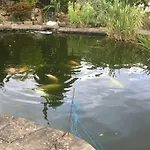 Bed & Breakfast Westergate House 4*