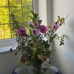 Westergate House Bed & Breakfast York