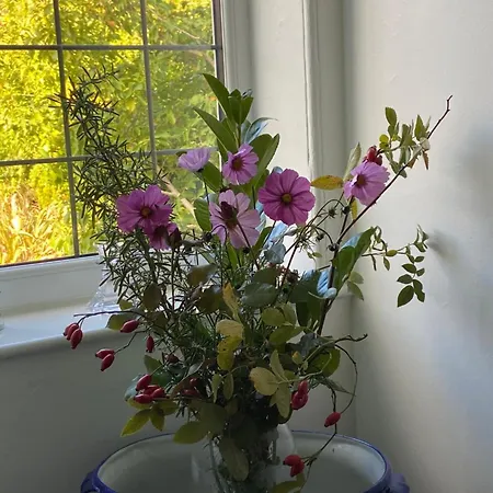 Westergate House Bed & Breakfast York