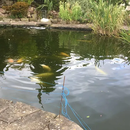 Bed and Breakfast Westergate House 4*