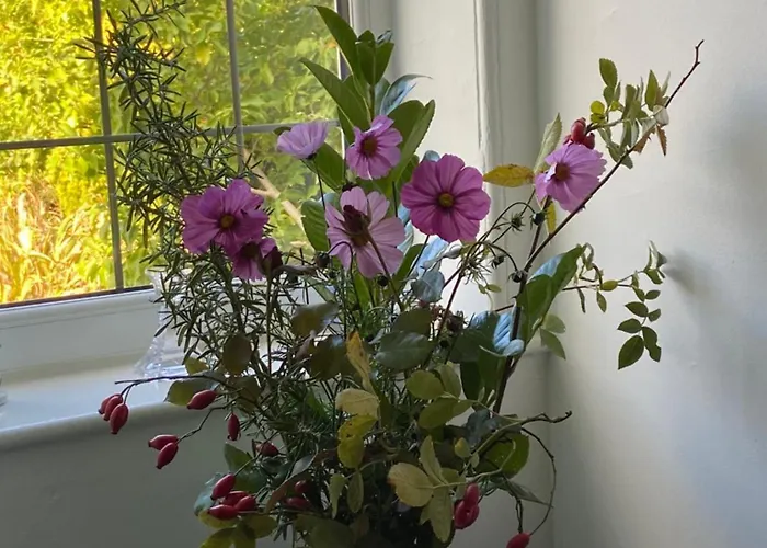 Westergate House Bed & Breakfast York