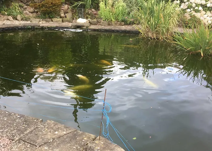 Nocleg ze śniadaniem Westergate House 4*